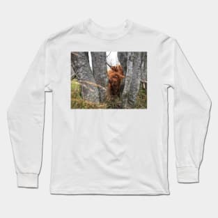 Scottish Highland Cattle Cow and Calf 1582 Long Sleeve T-Shirt